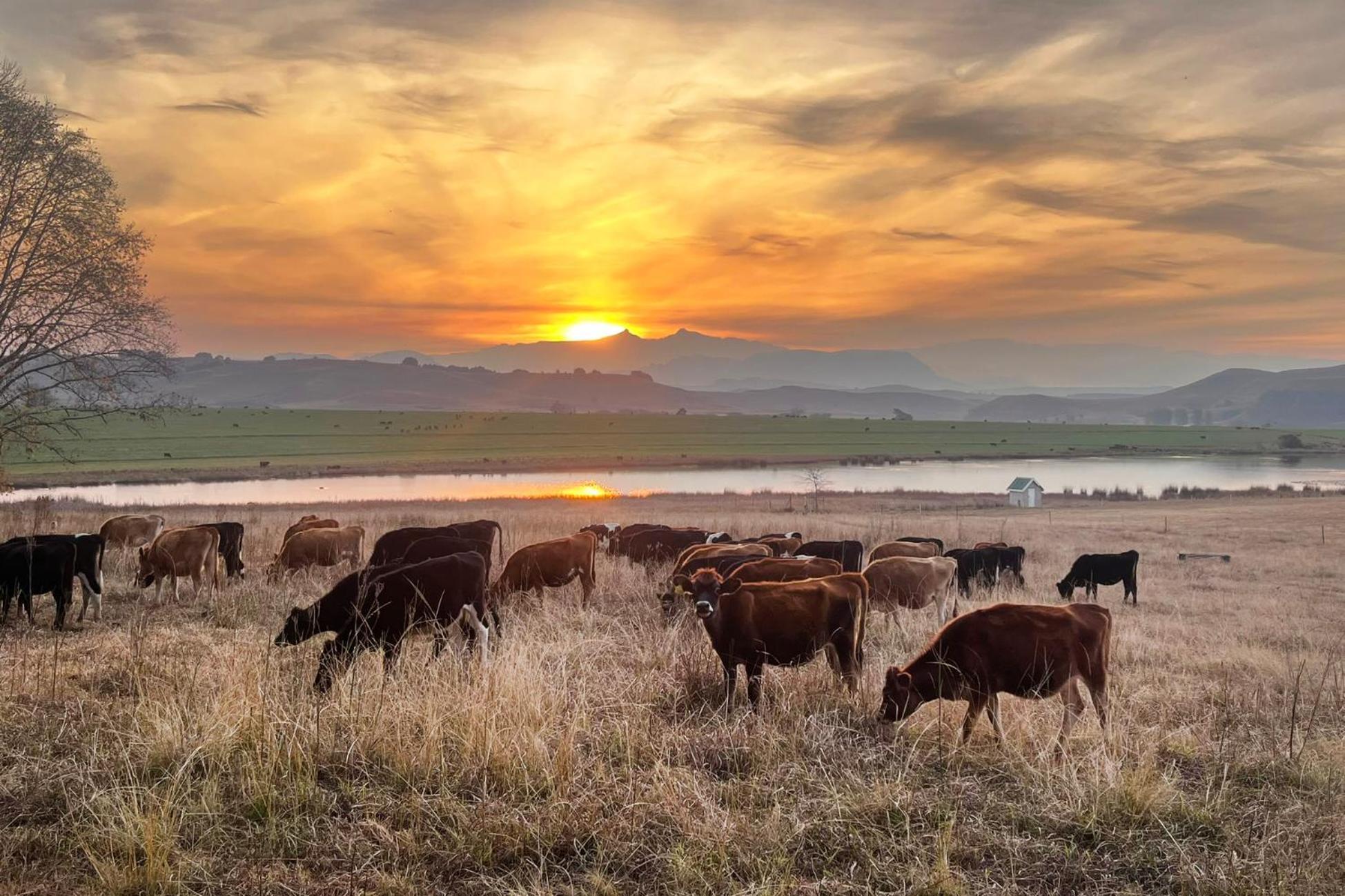 Khanyeni Himeville Exteriér fotografie