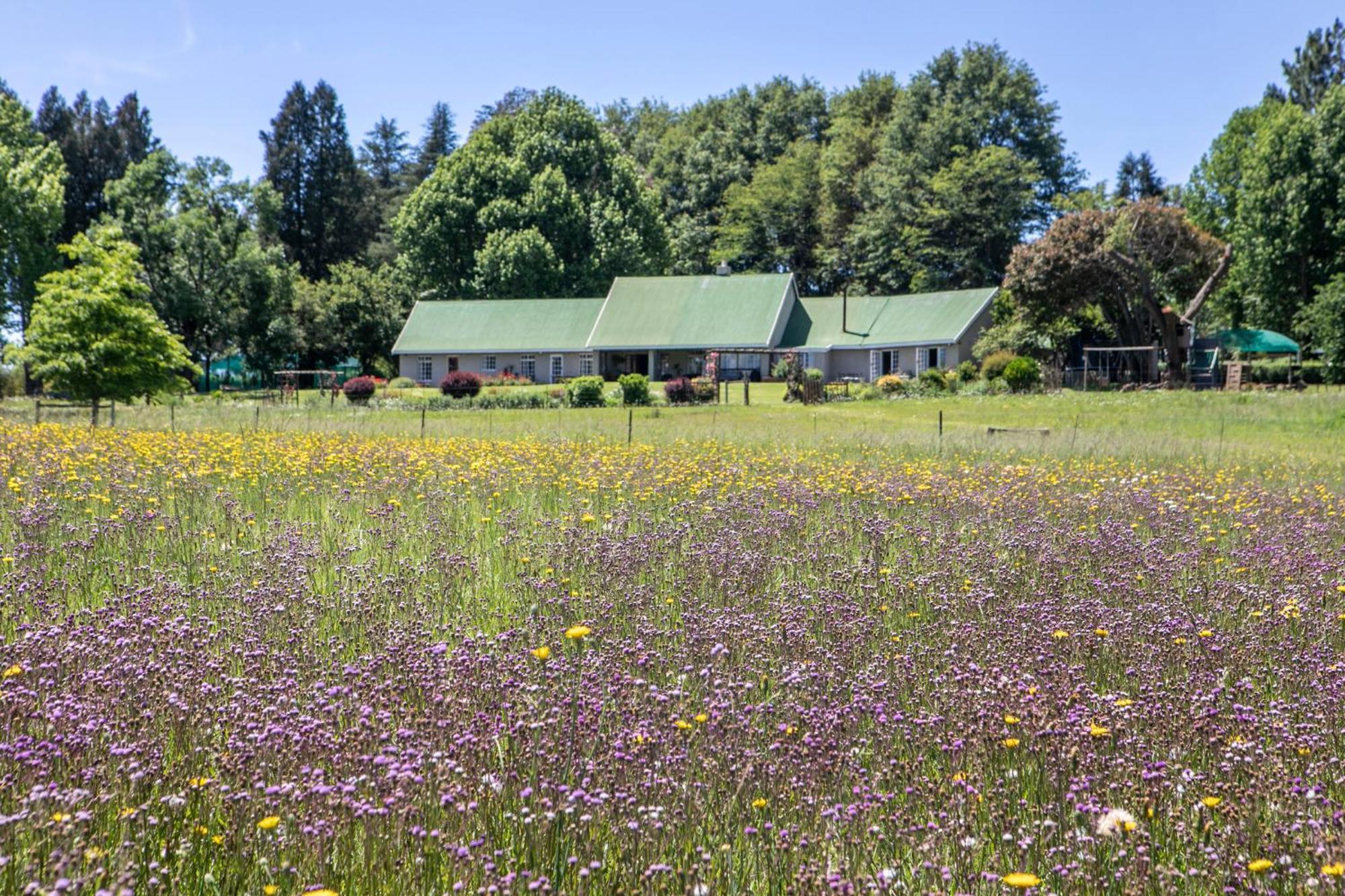 Khanyeni Himeville Exteriér fotografie